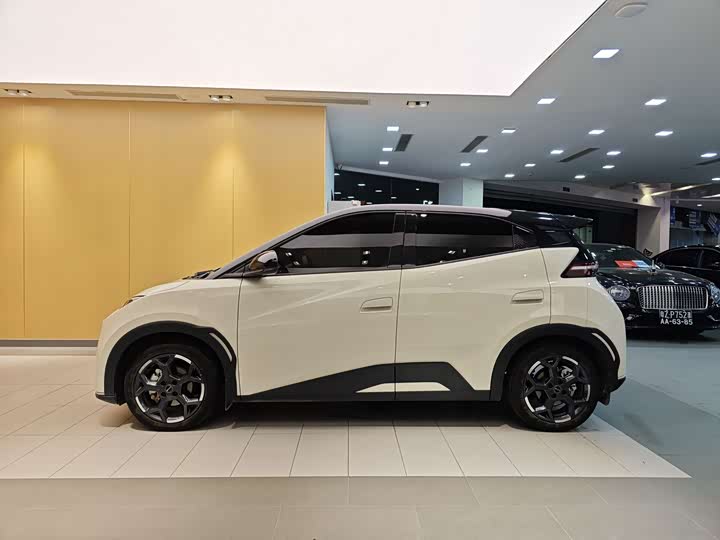 BYD Seagull 2025 2025款 405km 飞翔版