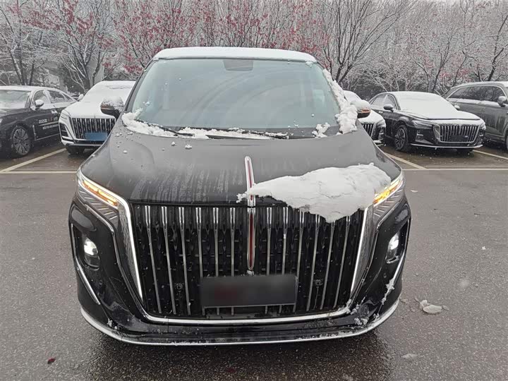 Hongqi HQ9 Hybrid 2024 2024款 2.0T 四驱商务版