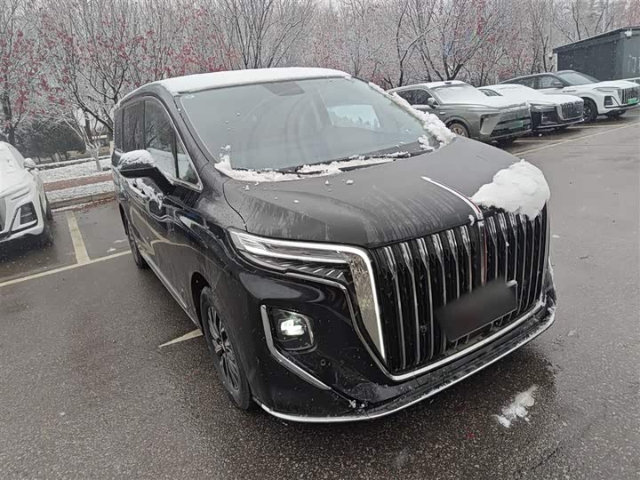 Hongqi HQ9 Hybrid 2024 2024款 2.0T 四驱商务版