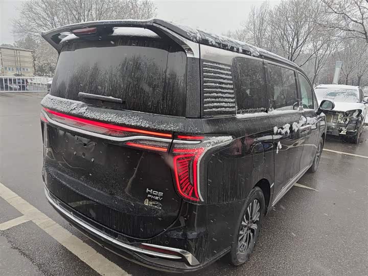 Hongqi HQ9 Hybrid 2024 2024款 2.0T 四驱商务版