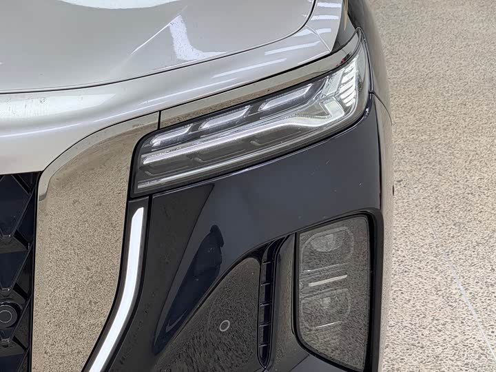 Hongqi H9 2024 2024款 2.0T 旗畅 私享风尚版