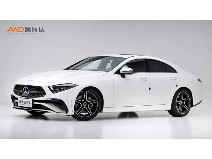 Mercedes-Benz CLS-Class 2023 2023款 改款 CLS 300 动感型