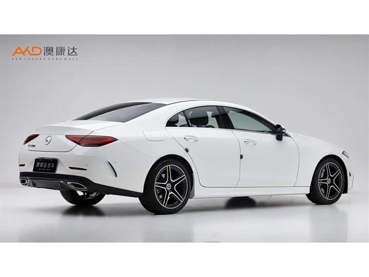 Mercedes-Benz CLS-Class 2023 2023款 改款 CLS 300 动感型