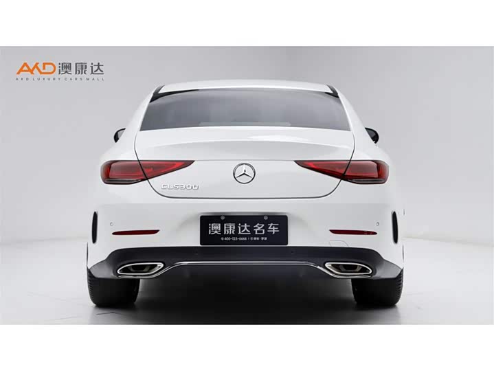 Mercedes-Benz CLS-Class 2023 2023款 改款 CLS 300 动感型
