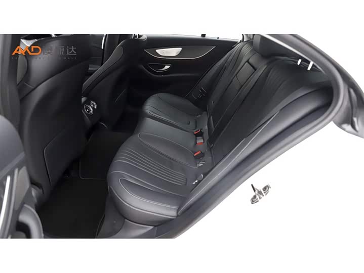 Mercedes-Benz CLS-Class 2023 2023款 改款 CLS 300 动感型