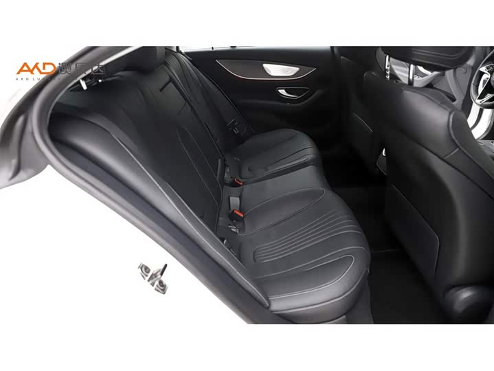 Mercedes-Benz CLS-Class 2023 2023款 改款 CLS 300 动感型