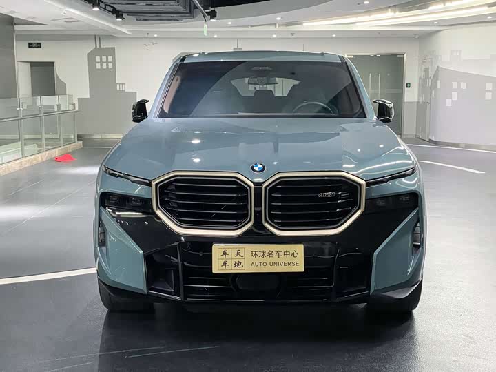 BMW XM 2023 2023款 50e