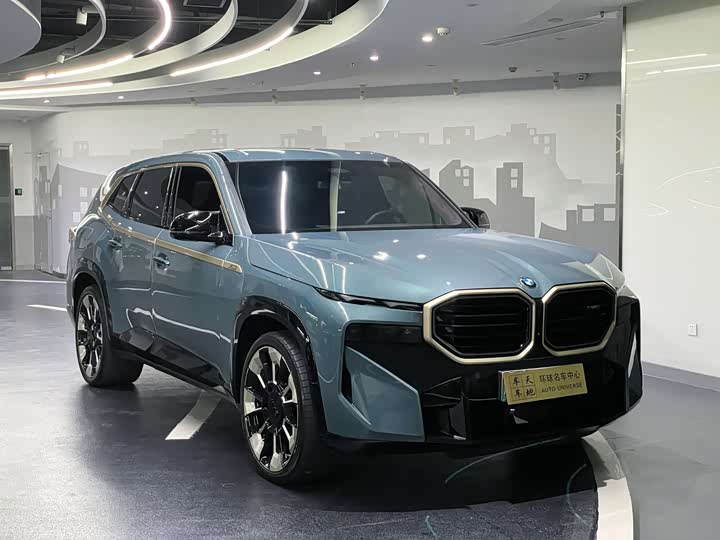 BMW XM 2023 2023款 50e
