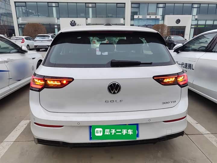 Volkswagen Golf 2025 2025款 300TSI R-Line