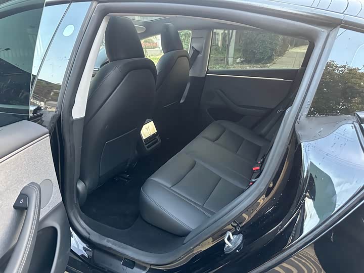 Tesla Model 3 2025 2025款 后轮驱动版