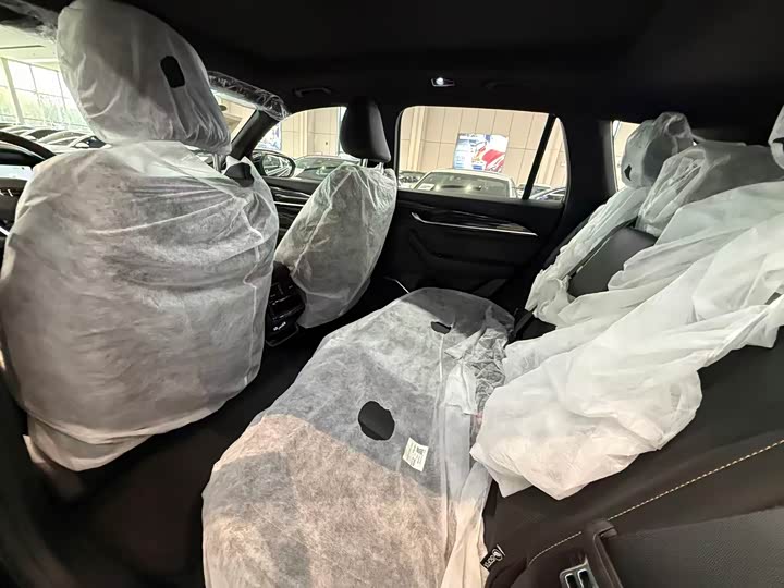 Geely Monjaro 2024 2024款 2.0TD DCT EVO两驱长风版