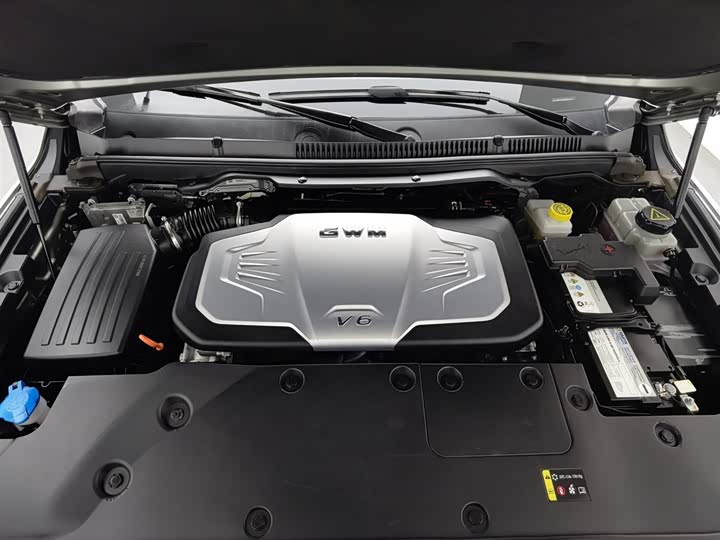 Great Wall Shanhai Poer 2023 2023款 3.0T V6 汽油极途版