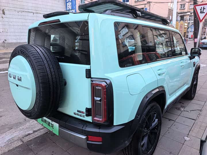 Haval Raptor Hybrid 2026 2026款 Hi4 105 Pro