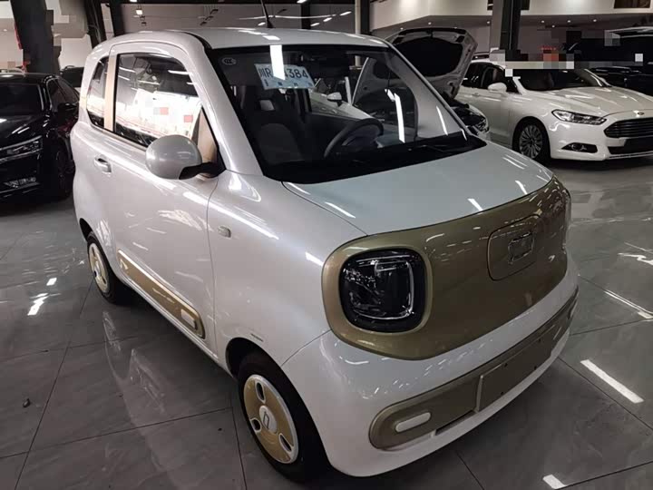 Bestune Pony 2025 2025款 222km 闪电马