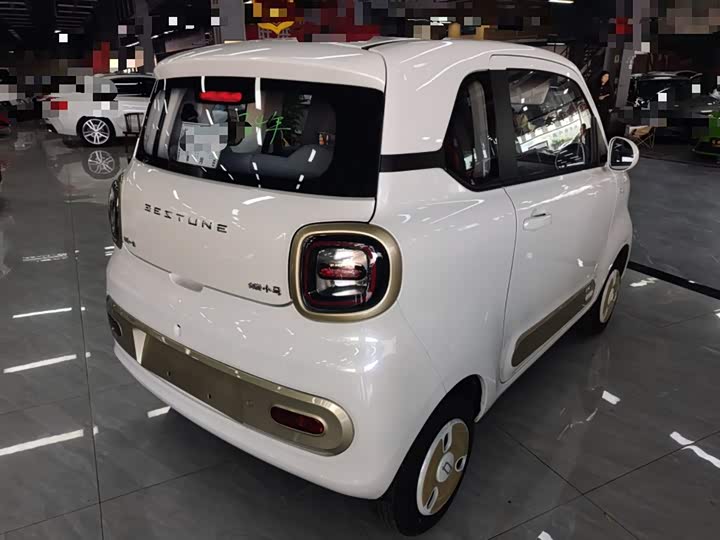 Bestune Pony 2025 2025款 222km 闪电马