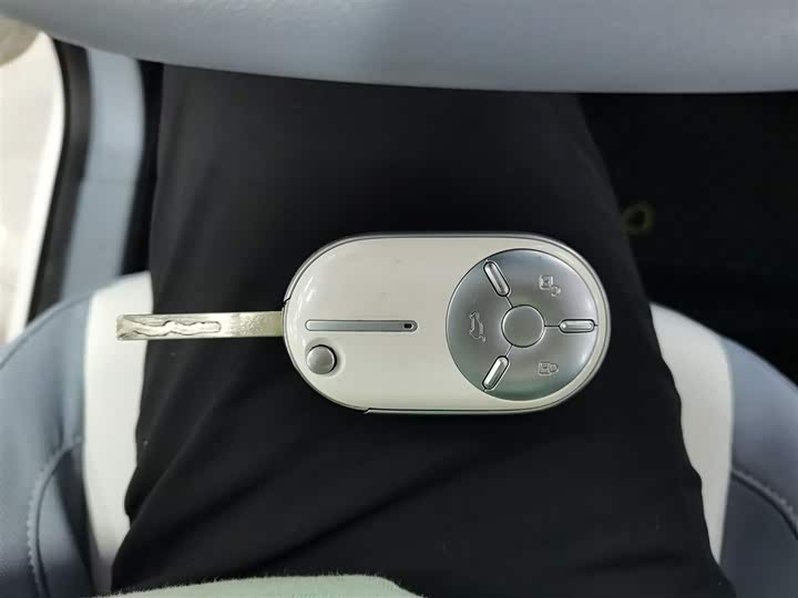 Bestune Pony 2025 2025款 222km 闪电马