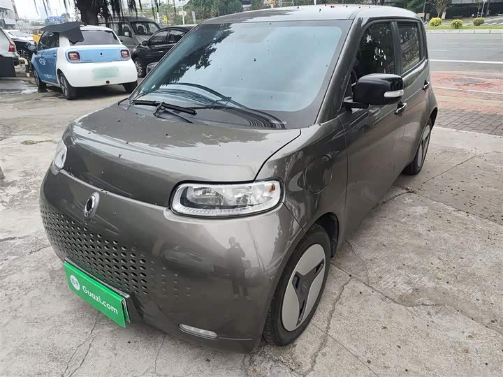 Ora White Cat 2020 2020款 360km 豪华型