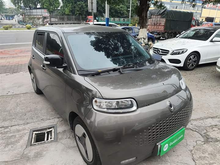 Ora White Cat 2020 2020款 360km 豪华型