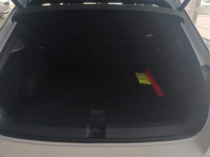 Volkswagen T-Roc 2025 2025款 300TSI DSG两驱辰光版