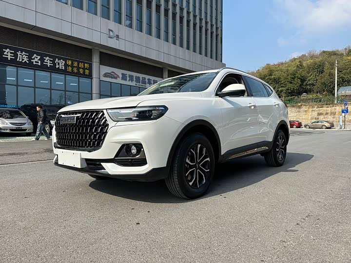 Haval H6 2023 2023款 国潮版 1.5T 自动都市版