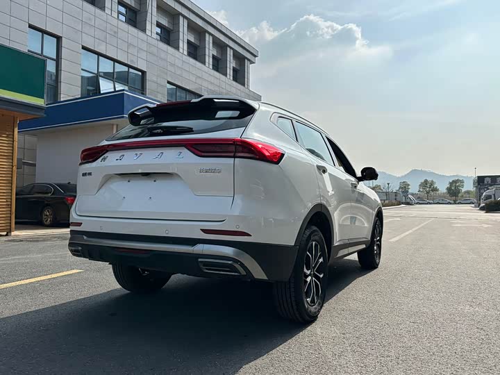 Haval H6 2023 2023款 国潮版 1.5T 自动都市版