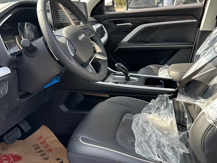 Haval H6 2023 2023款 国潮版 1.5T 自动都市版