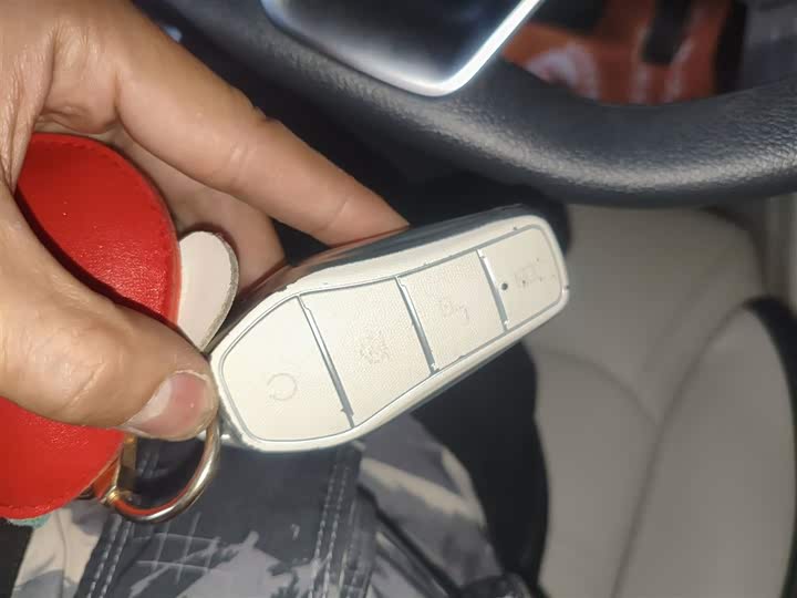 BYD Yuan Pro 2021 2021款 401KM 豪华型