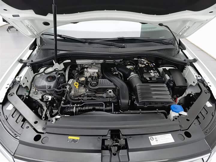 Volkswagen Tiguan L Pro 2025 2025款 出众款 300TSI 自动两驱龙腾版