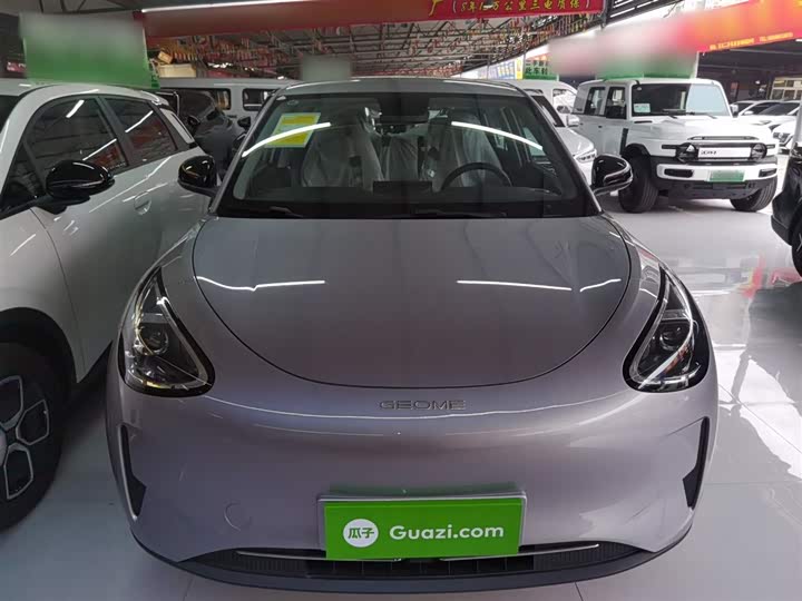 Geely Galaxy Geome 2026 2026款 310km 青春版