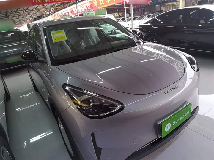 Geely Galaxy Geome 2026 2026款 310km 青春版