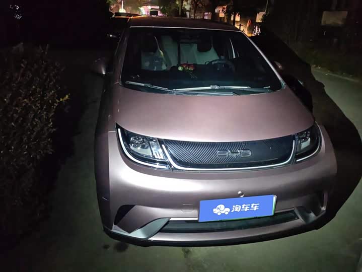 2025 BYD Dolphin