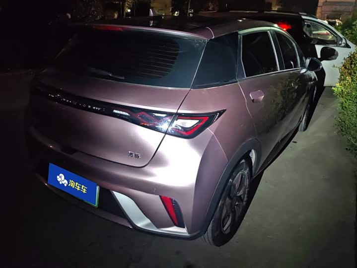 2025 BYD Dolphin