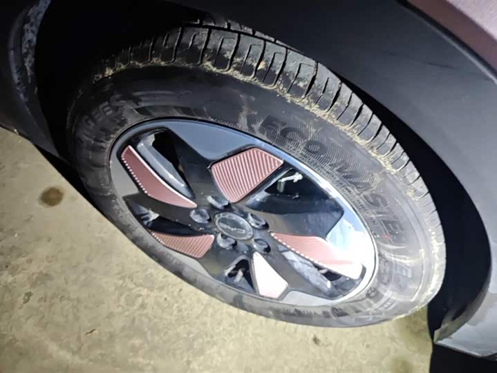 BYD Dolphin 2025 2025款 420km 自由版