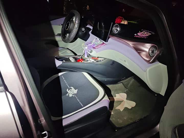 BYD Dolphin 2025 2025款 420km 自由版