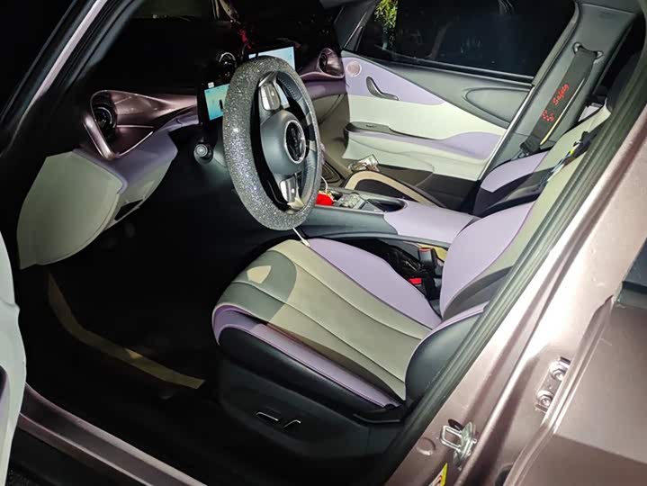 BYD Dolphin 2025 2025款 420km 自由版