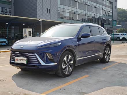 Buick Electra E5 2023 2023款 艾维亚四驱版