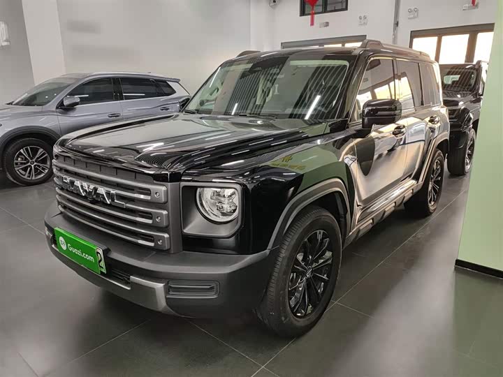 Haval Raptor Hybrid 2024 2024款 Hi4 145 穿越版