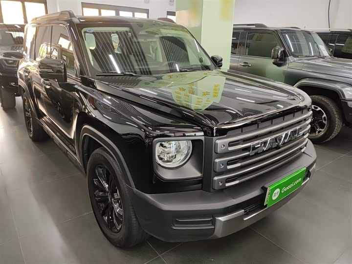 Haval Raptor Hybrid 2024 2024款 Hi4 145 穿越版