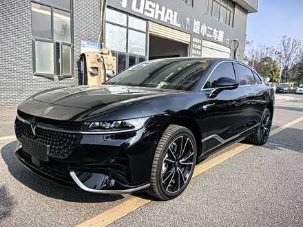Voyah Passion 2024 2024款 PHEV 四驱超长续航旗舰版