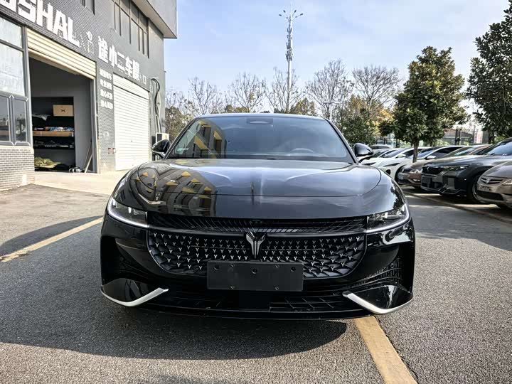 Voyah Passion 2024 2024款 PHEV 四驱超长续航旗舰版