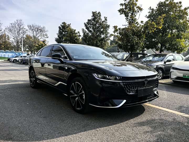 Voyah Passion 2024 2024款 PHEV 四驱超长续航旗舰版
