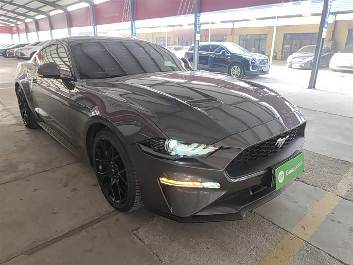 Ford Mustang 2021 2021款 2.3T EcoBoost