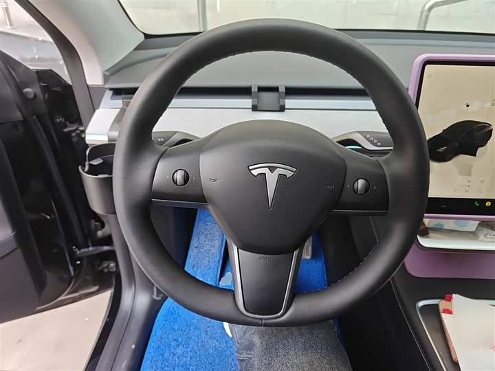 Tesla Model Y 2024 2024款 后轮驱动版