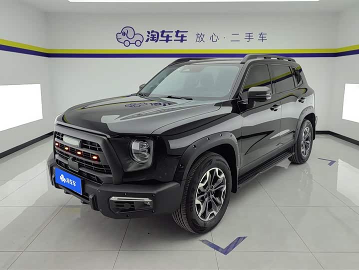 Haval Dargo 2024 2024款 2.0T DCT中华田园犬版