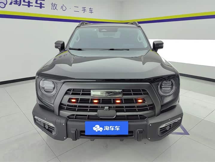 Haval Dargo 2024 2024款 2.0T DCT中华田园犬版