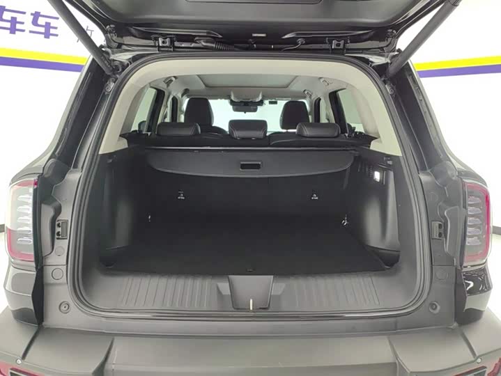 Haval Dargo 2024 2024款 2.0T DCT中华田园犬版