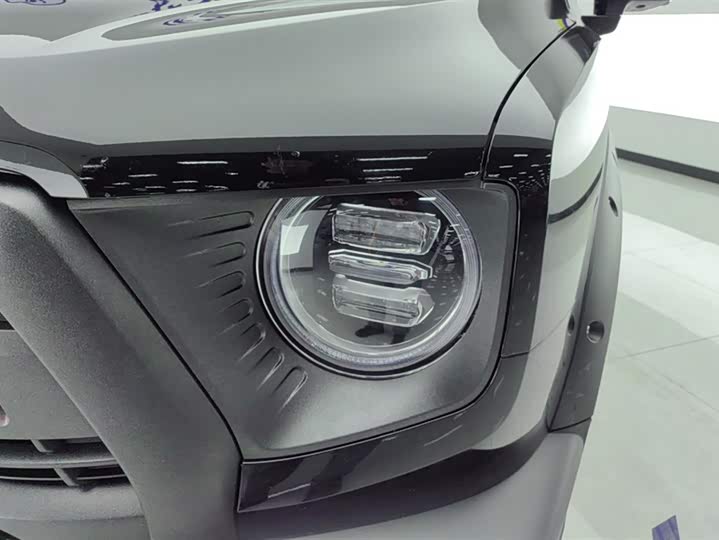 Haval Dargo 2024 2024款 2.0T DCT中华田园犬版