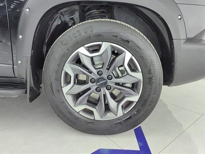 Haval Dargo 2024 2024款 2.0T DCT中华田园犬版