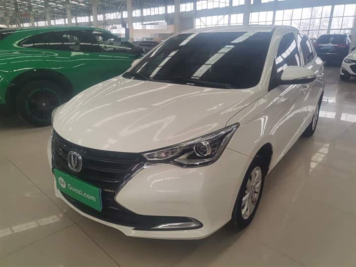 Changan Alsvin 2019 2019款 1.4L 手动舒适型 国VI