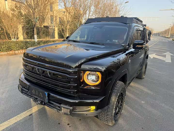 Haval H9 2024 2024款 2.0T 汽油四驱极境版